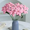 Blossoming tulip light pink