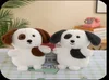Cute dog