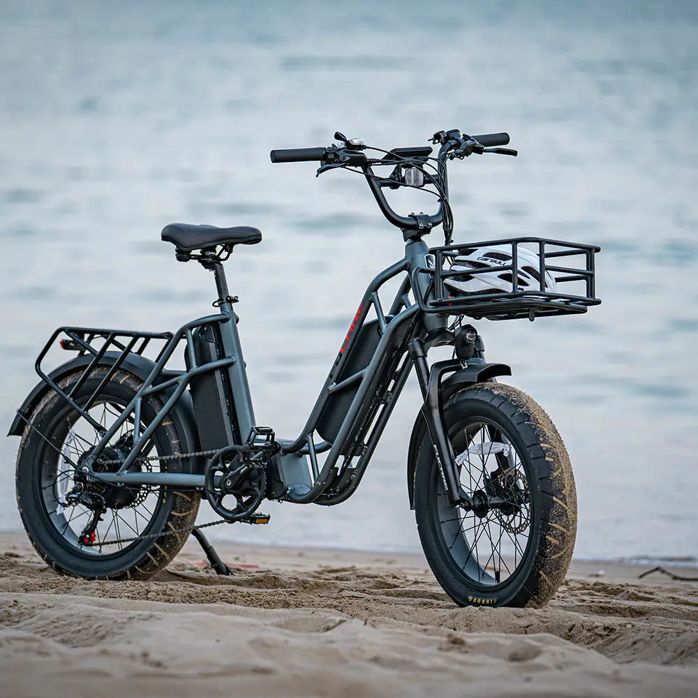 dual battery ebike