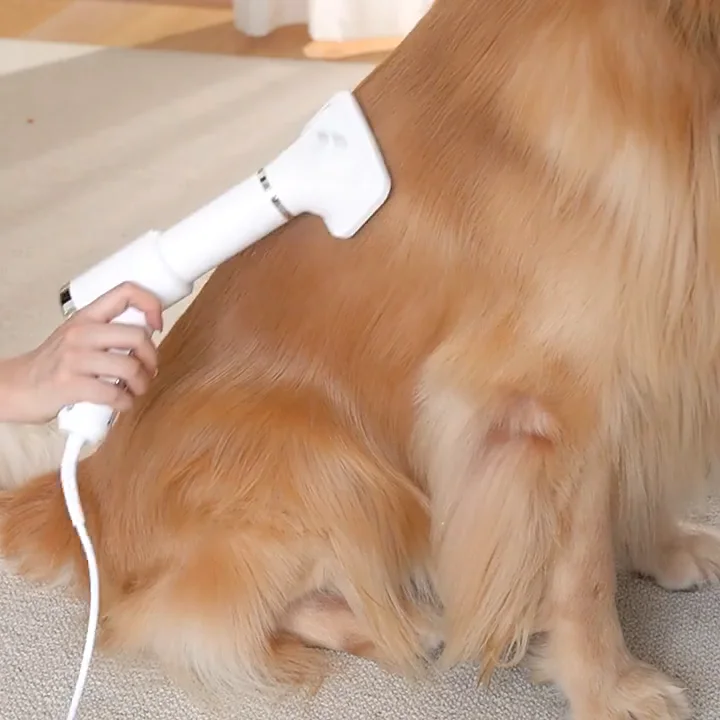 Dog Dryer 110v 220v 2in1 Comb Pet Hair Dryers Cat Puppy Grooming Dogs