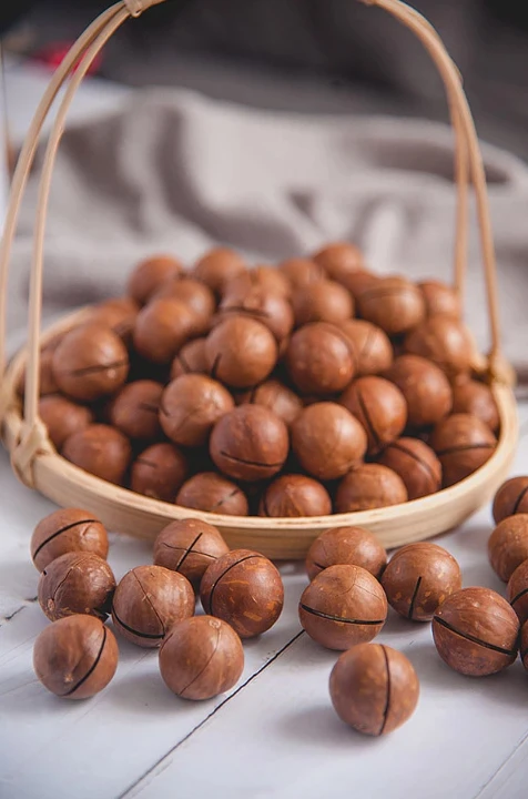 VANILLA FLAVOR Macadamia Nuts in the Shell Bulk Supply for Export at Best Price Delicious Macadamia Nuts