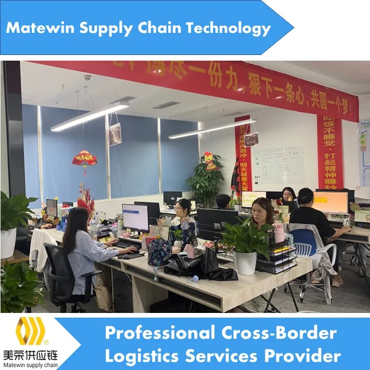 Ali поставщики в Пакистане работают на дому, в Интернете, Пакистан, бесплатная доставка товаров в Пакистан, lionzy international ali express