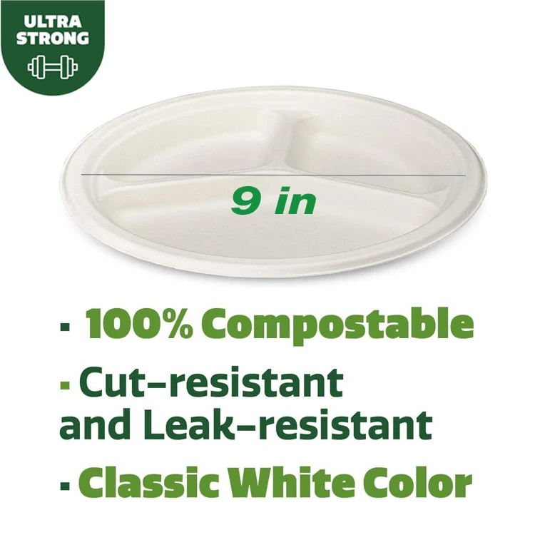 Compostable Paper Plates 9 Inch 3 Compartment Disposable Plates Buy