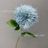 diente de león único