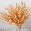 Golden Five-pronged Eucalyptus