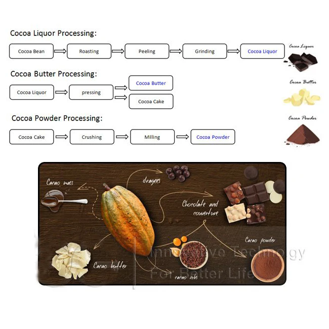 Line Cocoa Powder Equipment Machine Small Scale Mini Cocoa Bean Processing Plant