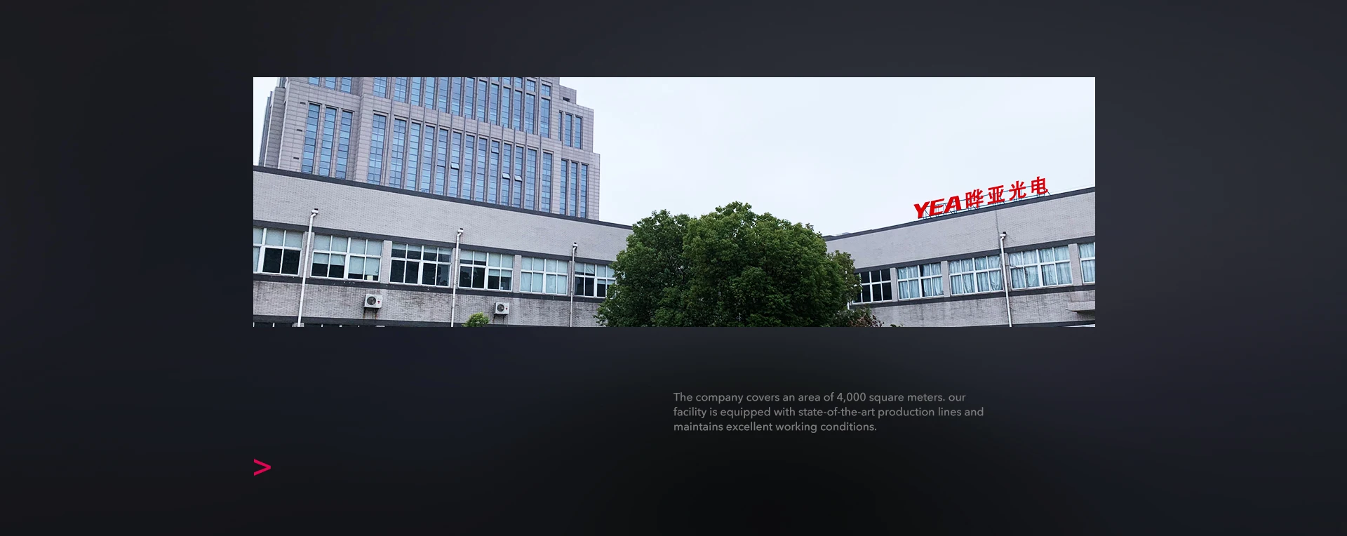 Company overview