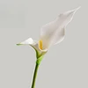 60cm White