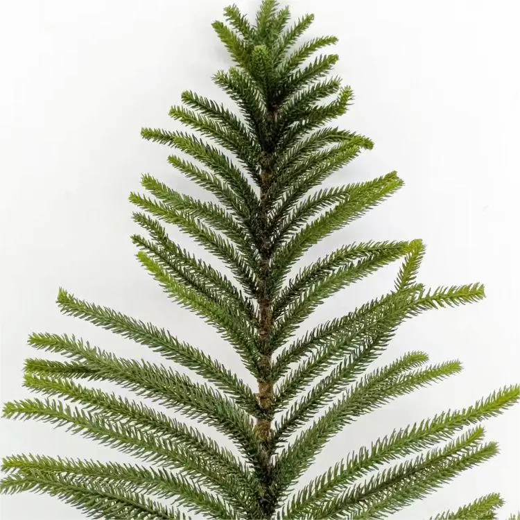 Wholesale A Plastic Artificial Norfolk Pine Stems Touch Soft Green 