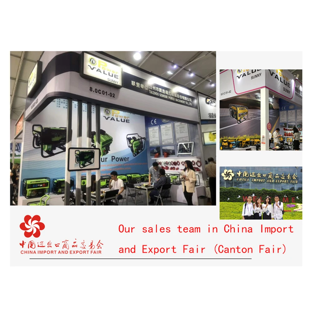 Generator Manufacturer Small Generator 950 12V 650w 500w 450w DC Generator