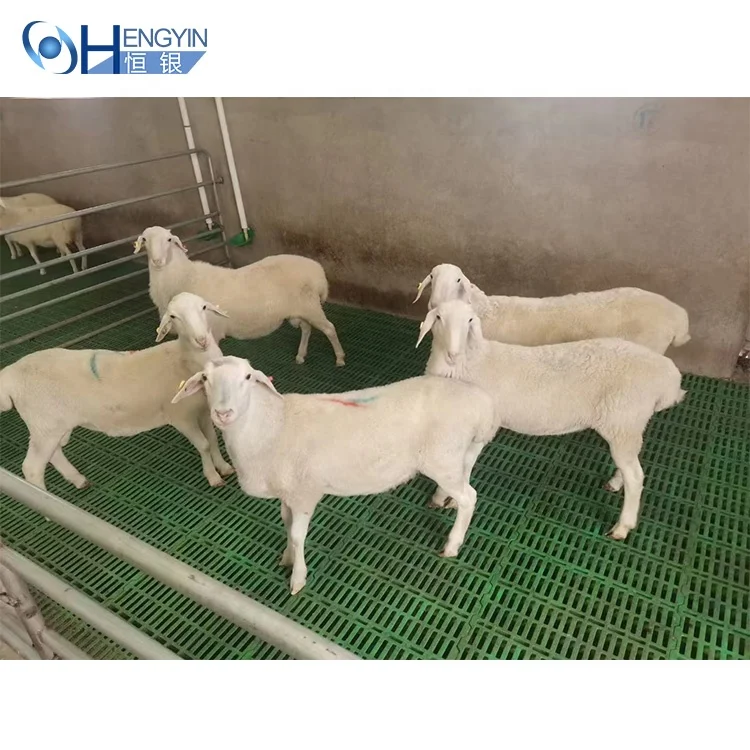 Free Sample Goat Sheep Pig Plastic Floor Grating for Sale Large Floor Grates  Pvc Floor Grating