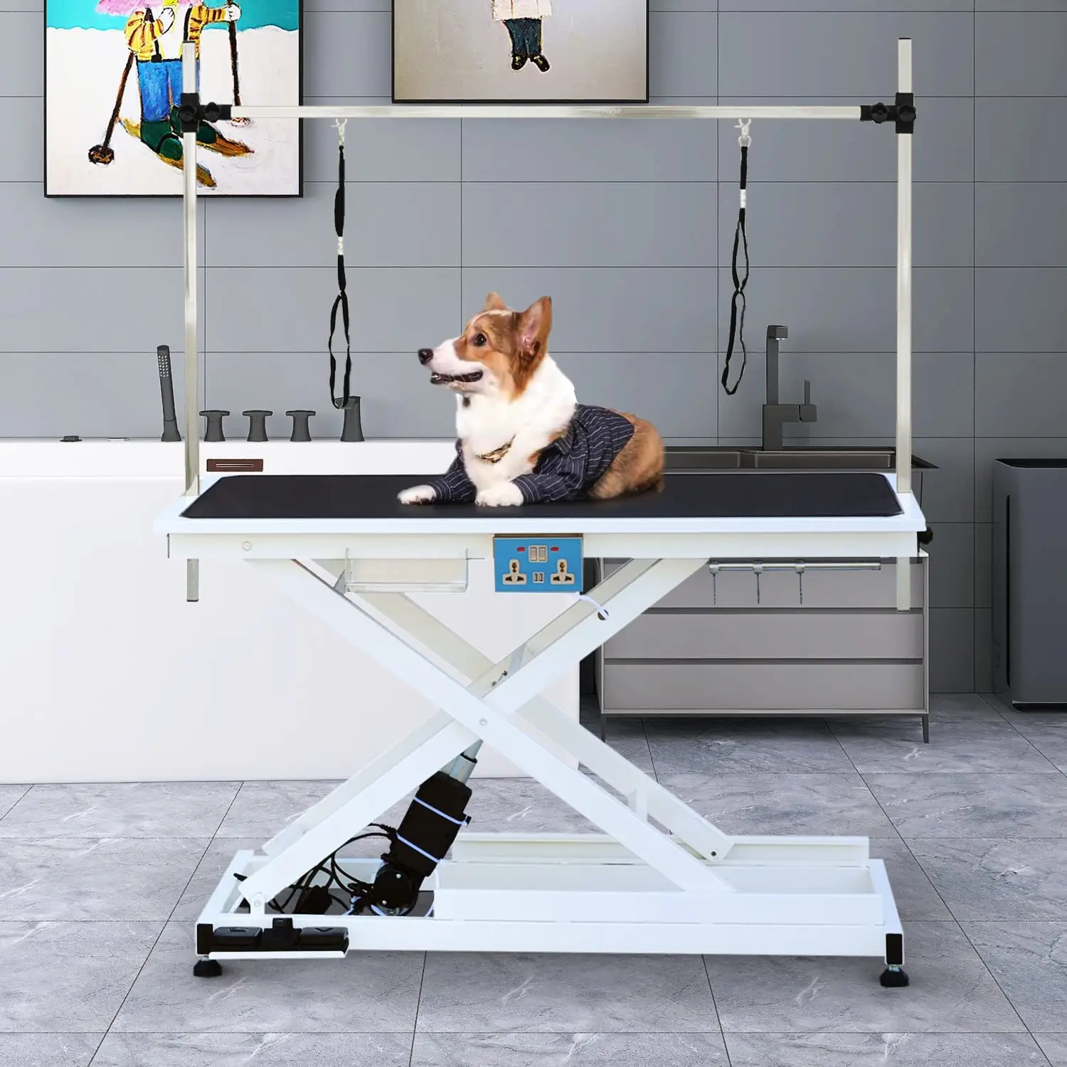 Arm Drying Electric Adjustable Height Dog Grooming Table Professional