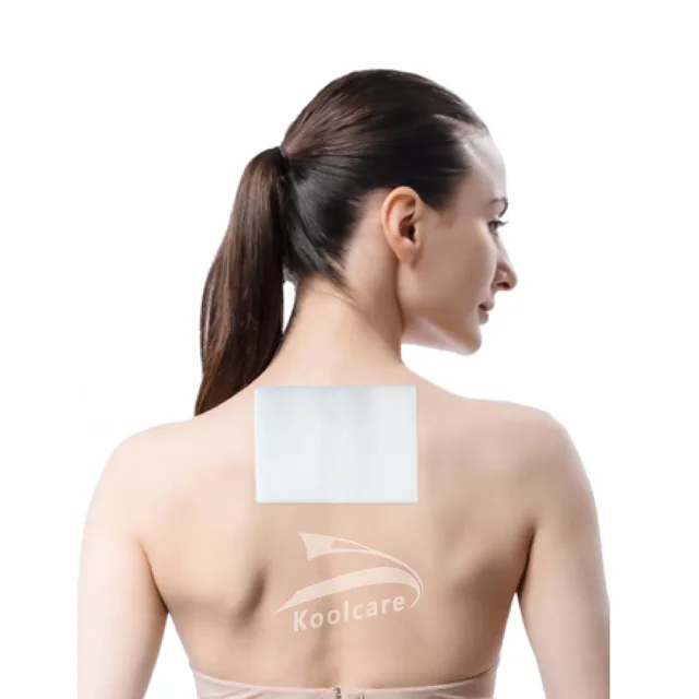 Customized Adhesive Cold Therapy Hydrogel Back Shoulder Neck Elbow Ankle Joints Pain Relief Patch