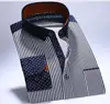 Black Stripe