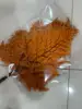 arancione vintage