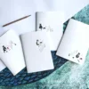 32k-il gatto quotidiano.