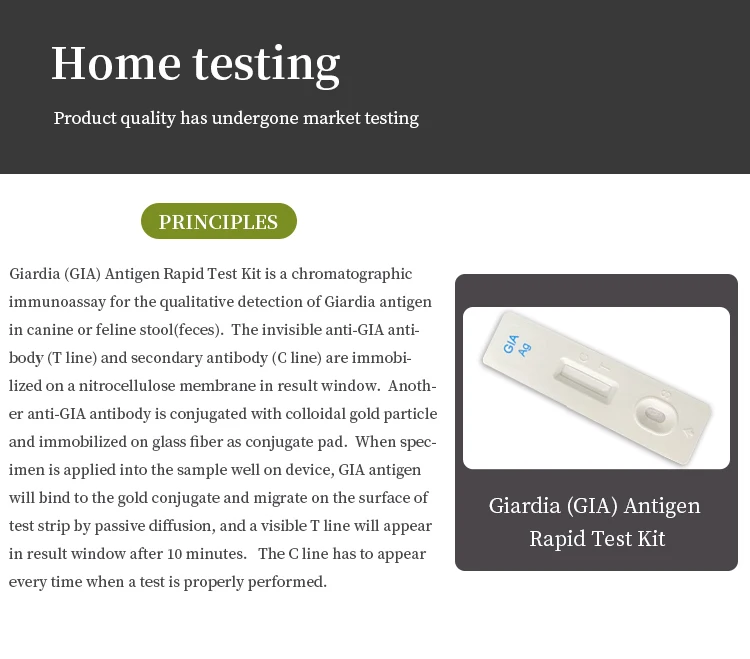 Giardia (gia) Antigen Rapid Test Kit For The Qualitative Detection Of
