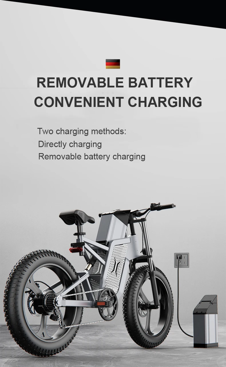 h 30ah fat tire electric bicycle 750w  electric bike for adult with ce fcc rohs eu and us warehouse-111