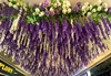 Hanging Flower 02