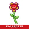 CY-VD-0489