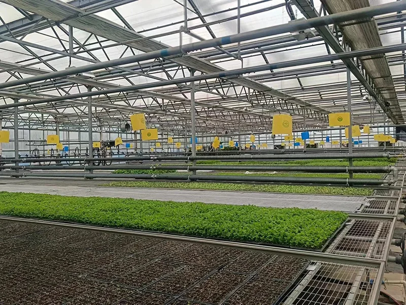 Hf7b19f01b8034be1b616d679f8d3e077m