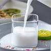 plastic holder