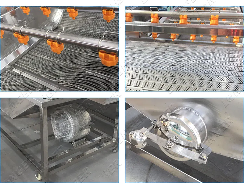 Industrial Fruit and Vegetable Washing Machine Dates Cleaning Machine for the Dates Cleaning