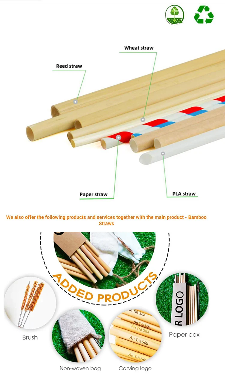 Customized Straw Eco Friendly Reusable Natural Large Bore Straws