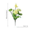 Nine-headed lotus (white)