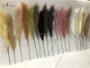 artificial pampas 15forks