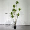 Artificial Seven Heads Curved Dracaena Plant with Pot (1.5M)