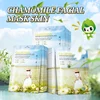 chamomile