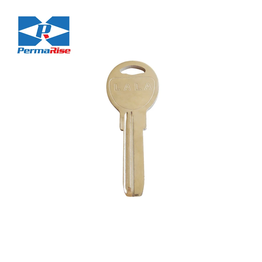 Smart Antitheft Lock Motorcycle Key Blank for Universal House Key Blank Key Everleo