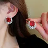 E2498 red