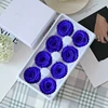 Sapphire Blue