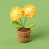 Plante en pot marguerite jaune à deux têtes - Mini bol à fil