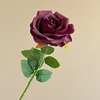 01-morado ahumado