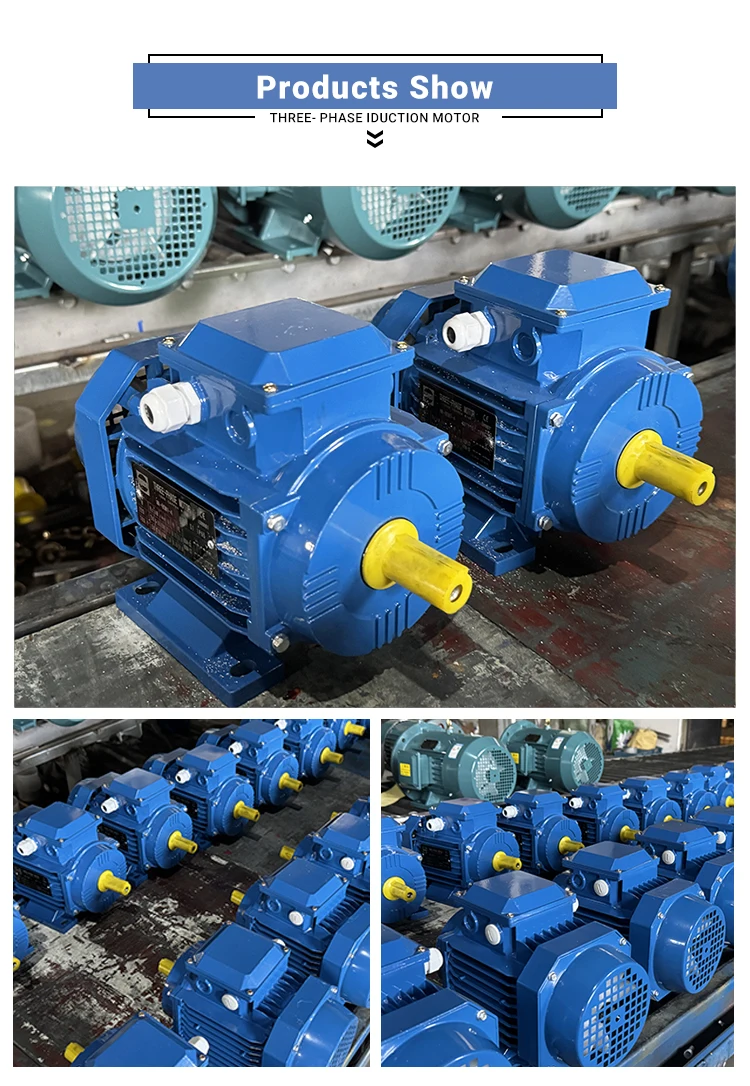 Electric Motor, IEC, 3000W, 50Hz - detail 12