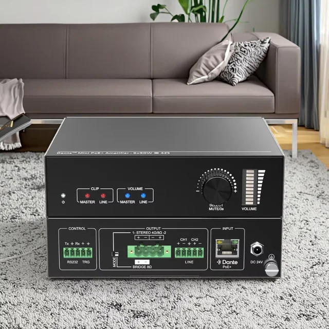 Dante 2-channel Mini Power Amplifier for Auto Car Home Power Amplifier Stereo Sound Mode USB/MP3/FM/DVD/SD