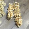 2 fork hyacinth champagne