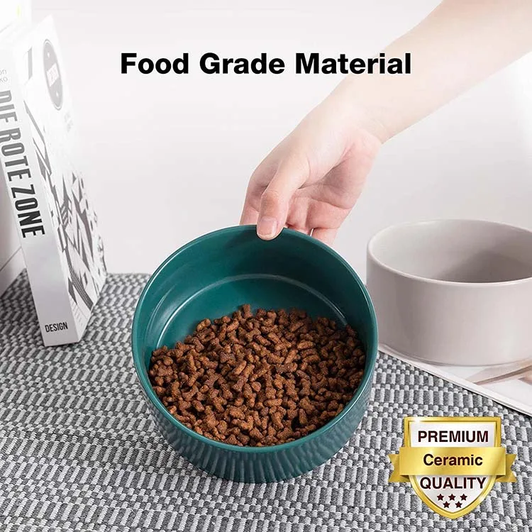 Luxury Pet Feeder Elevated Raised Cat Food Water Bowls High Non Slip