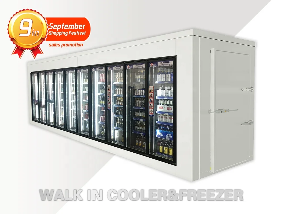 Walk-in Cooler/freezer/upright Fridge Refrigerator Glass Doors Equipped Frame and Shelf Per Door for Cold Room