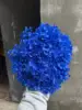 Azul Real