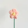 Puff flower pink