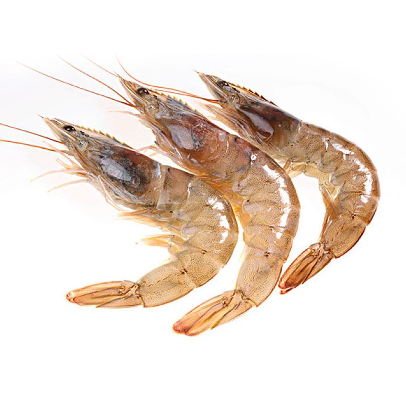 Frozen Black Tiger Shrimps Wholesale Raw Pd Black Tiger Prawn,Fresh