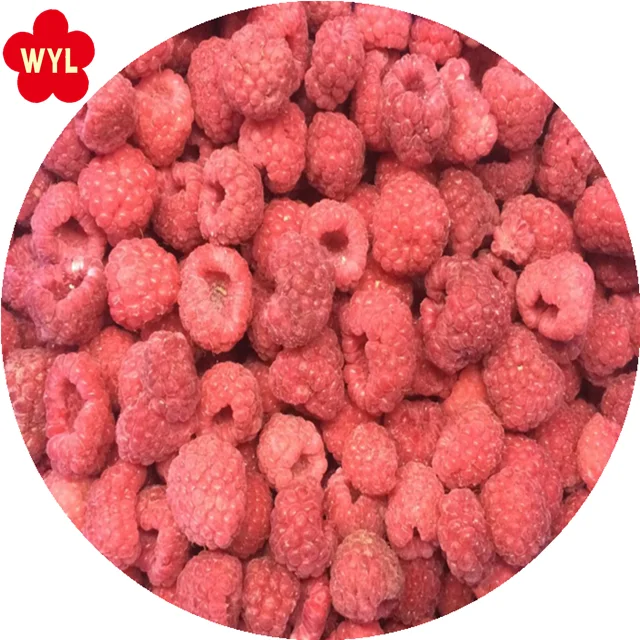 High Quality New Crop IQF Frozen Raspberries Water Preserved Raspberry Fruit for Wholesale and Retail in Bulk details