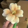 Pu abre el café tulipán