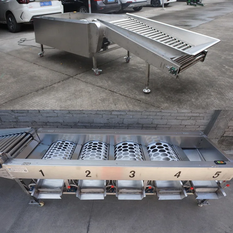 Professional Fruit Citrus Sorting Machine Lemon Grading Machine