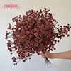 #6 orange red-single