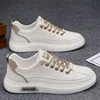 W66 chat blanc